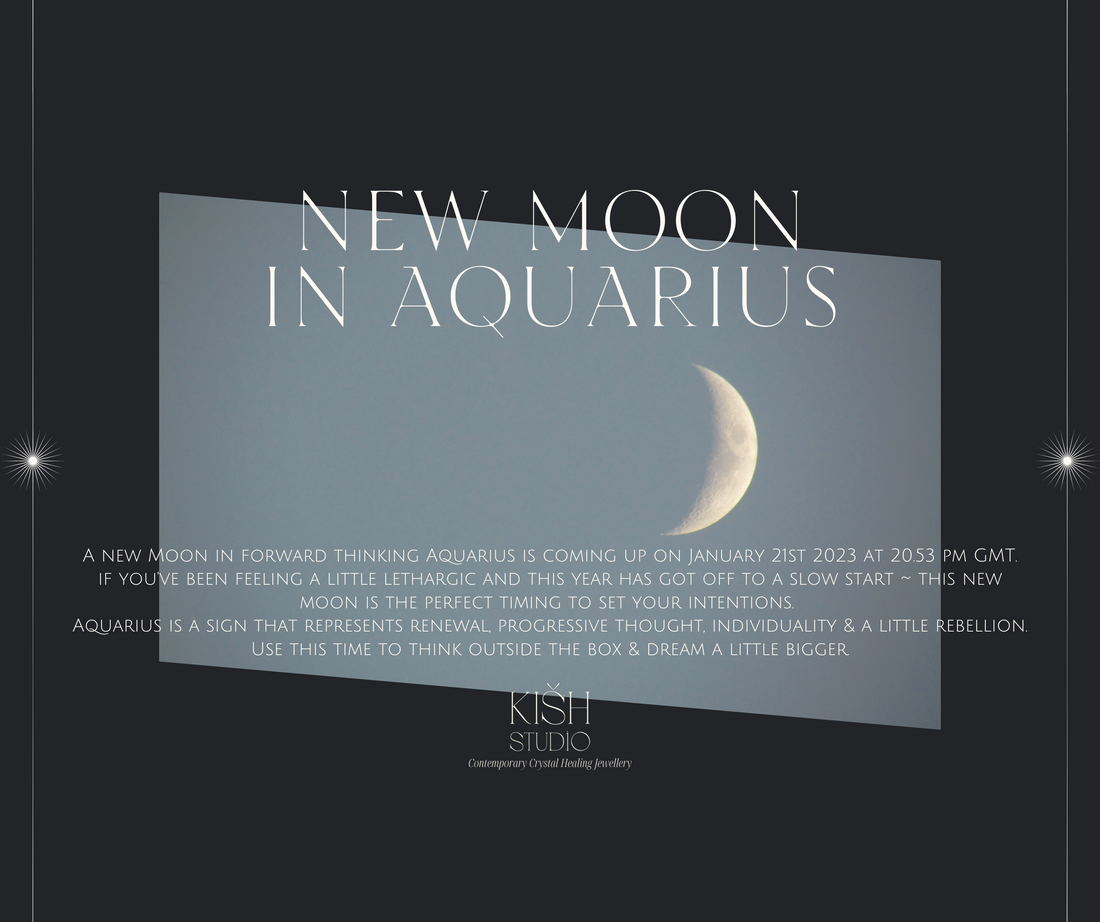 Lunar Tarot Reading January 2023 ~ New Moon In Aquarius